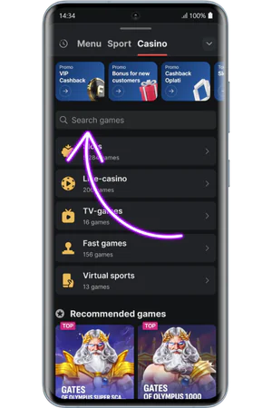 Mystic Fortune Deluxe search bar